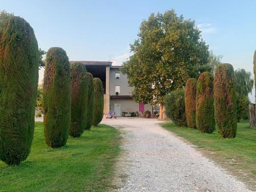 Pescantina Apartment | Agriturismo Corte Bonetti - Il Platano