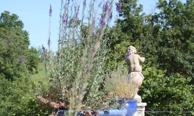 Pieve Santo Stefano Other | agriturismo il capannino
