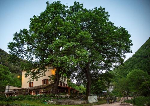 Cerreto di Spoleto House | Agriturismo le due querce