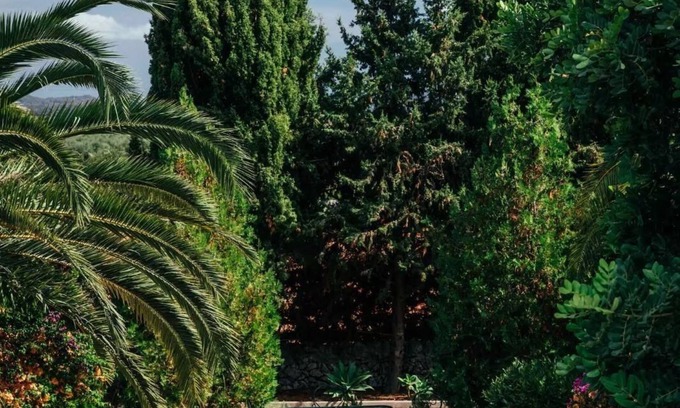 Porreres Other | Agroturismo El Passarell