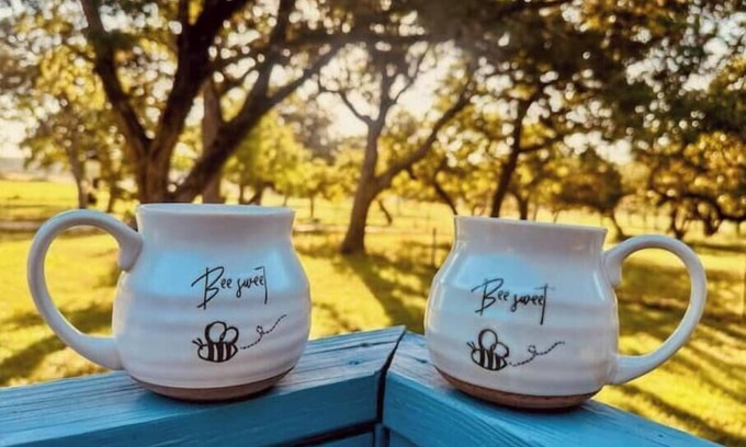 Fredericksburg Bed & Breakfast | Air B & Bees