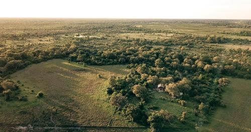 Maun Other | Al's Camp