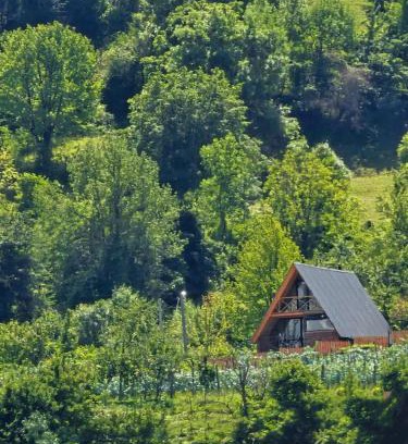 Ambrolauri House | Alagi ალაგი