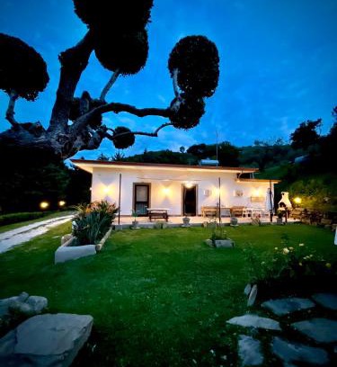 Laureana Cilento House | Alba in vigna Bed and Breakfast
