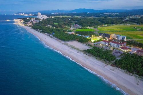 Gangneung House | Algoboni Hotel