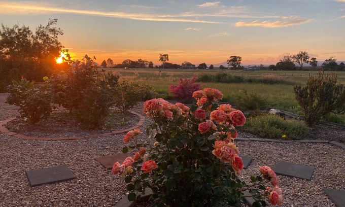 Briagolong House | Ali's Place - Art and Views Gippsland