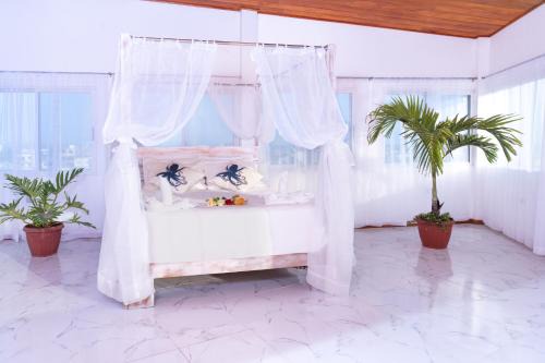 Bahia de la Academia Apartment | All INCLUSIVE GALAPAGOS & BEYOND 2