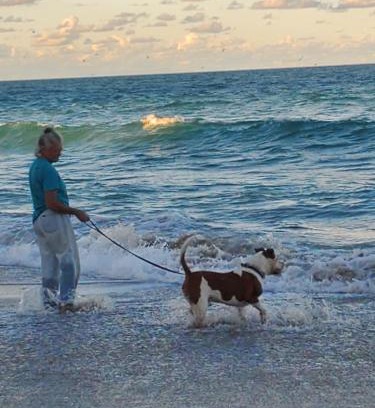 Beach Club Colony House | All Pets Welcome, Across From Beach, Tiki Hut