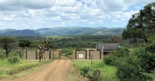 Magudu Cabin | Amakhosi Safari Lodge & Spa