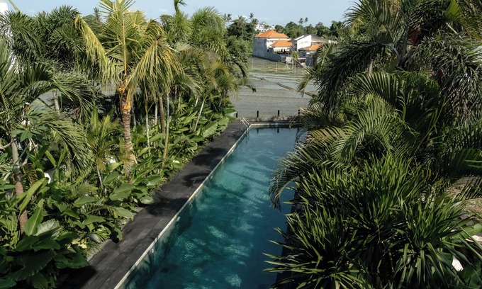 Berawa Villa | AMO Residences