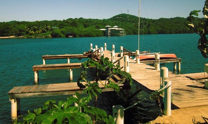 Antoneys Cay Condo | An Oasis in West End: Waterfront with Pool and Dock