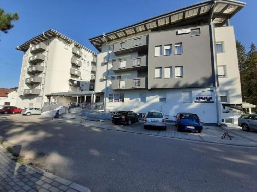 Banja Koviljaca Apartment | Andora