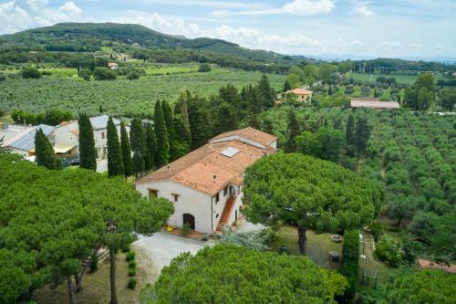 San Vincenzo House | Antichi Palmenti - Corbezzolo