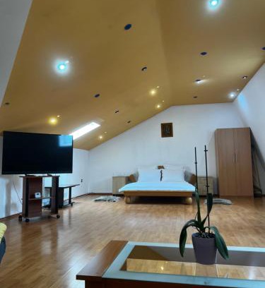 Timisoara Apartment | Apartament central Timisoara
