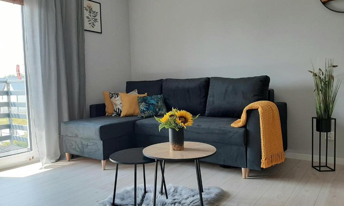 Wladyslawowo Apartment | Apartament Miodowy