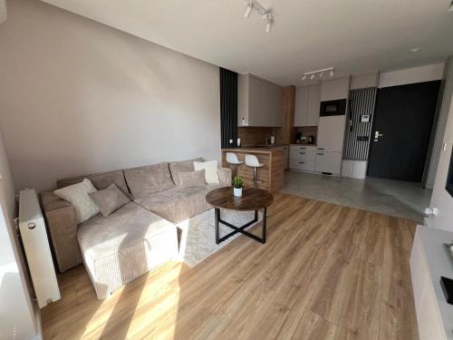 Torun Apartment | Apartament Vinea