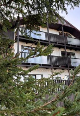 Yablunytsya Hotel | Aparthotel "Mayak Yablunytsia"