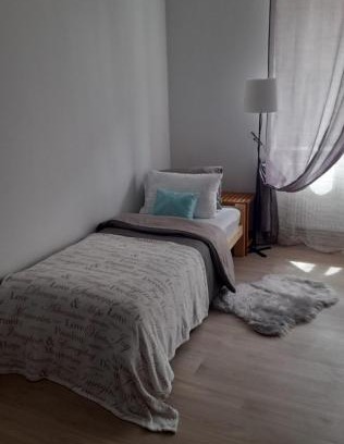 Ceska Lipa Apartment | Apartmán Centro and meetingroom