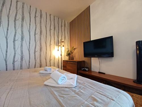 Velka Lomnica Apartment | Apartmán Mirka - Tatra Mountain Resort G104