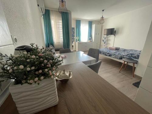 Banja Koviljaca Apartment | Apartman 14