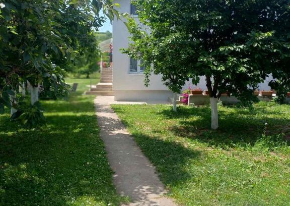 Vrdnik Apartment | Apartman Flora Vrdnik
