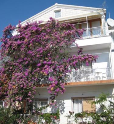 Gradac Apartment | Apartman Graciela Perfect location Gradac
