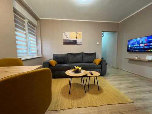 Stari Banovci Apartment | Apartman Momirov Titel