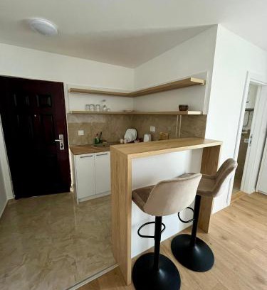 Surcin Apartment | Apartman Runway Rest