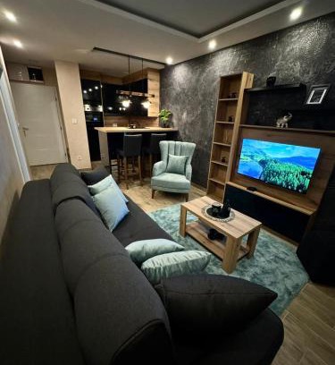 Banja Koviljaca Apartment | Apartmani Tesic