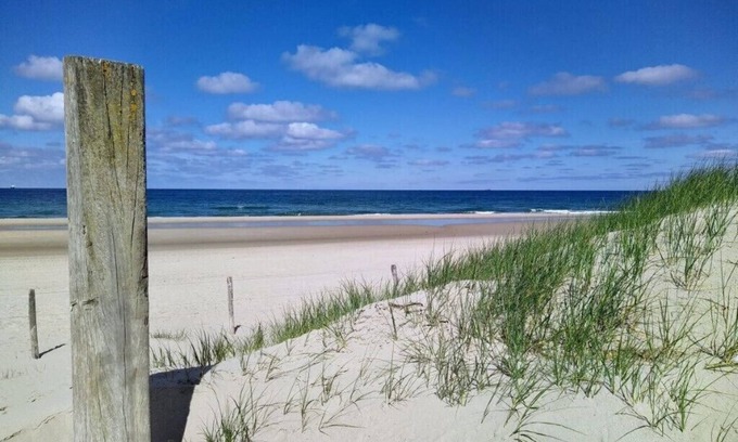 Callantsoog Cottage | Apartment de Duijne