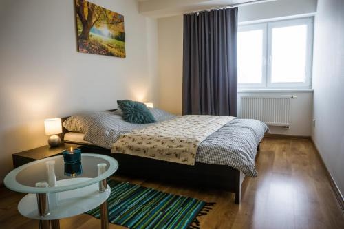 Velky Slavkov Apartment | Apartment Eric 9D High Tatras