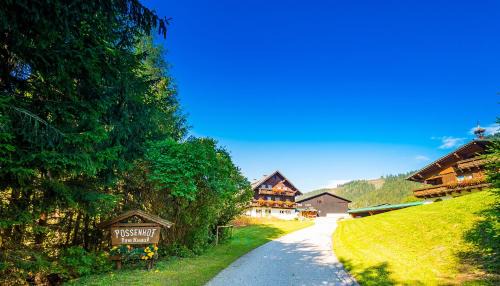 Schladming Apartment | Apartment EVA