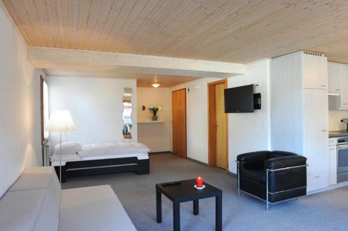 Lenk Apartment | Apartment Lenkstrasse 6 C