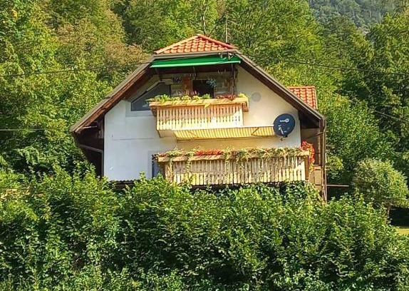 Bohinj Apartment | APARTMENT WITH A VIEW