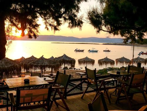 Kissamos Apartment | Aphrodite Beach