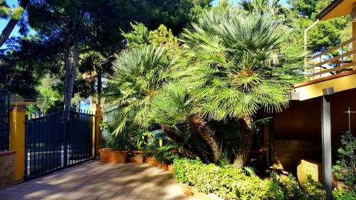Scopello Apartment | Appartamenti Cala Azzurra