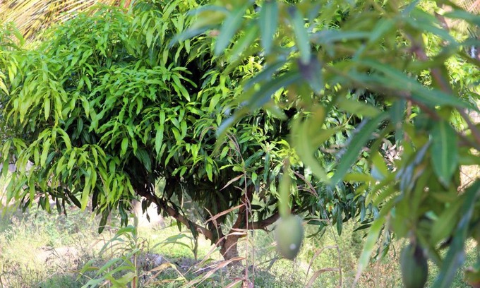 Abomey-Calavi Hotel | ASSOUKA Eco-Village du lac Nokoué