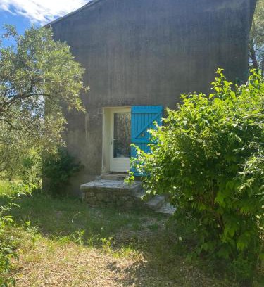 Draguignan House | Au coeur de l'oliveraie