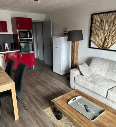 Les Deux Alpes Apartment | Au Myosotis, cosy au pied des pistes avec vue et cœur de station