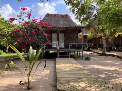 Costa Caribe Cabin | Awatawaa Ecolodge