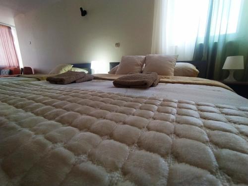 Leskovac Bed & Breakfast | B&B Bebinac