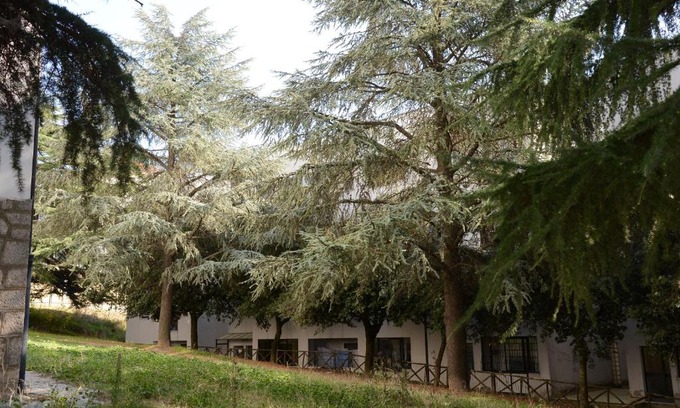 Potenza Bed & Breakfast | B&B Europa