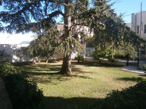 Salve Bed & Breakfast | B&B Il Cedro