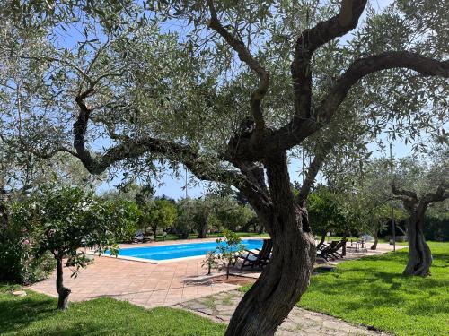 Trapani House | Baglio Fontanasalsa Agriturismo