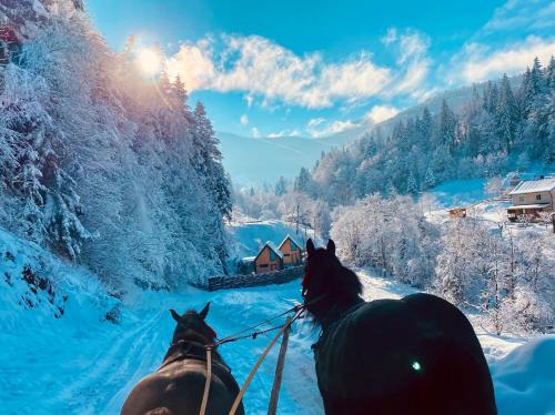 Yaremche Ski Chalet | BagriWood Lodges (Лоджі БагріВуд)