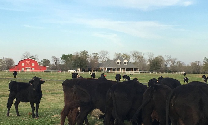 Normangee House | Barn atopia Ranch A&M UT Dallas Houston College Station Austin Huntsville