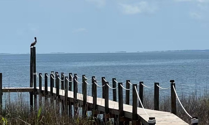 Apalachicola House | 🌴Bay Breeze Believer Apalachicola Bay Front Home with Fishing Dock🌴