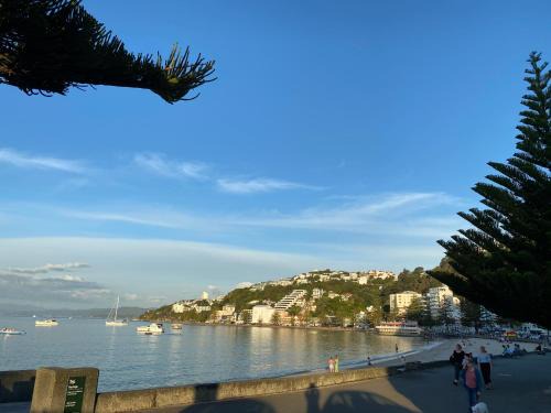Oriental Bay Apartment | Beach house in Oriental Parade