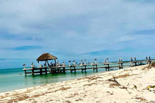 Celestun Apartment | Beachfront apartment with swimming pool. One bedroom