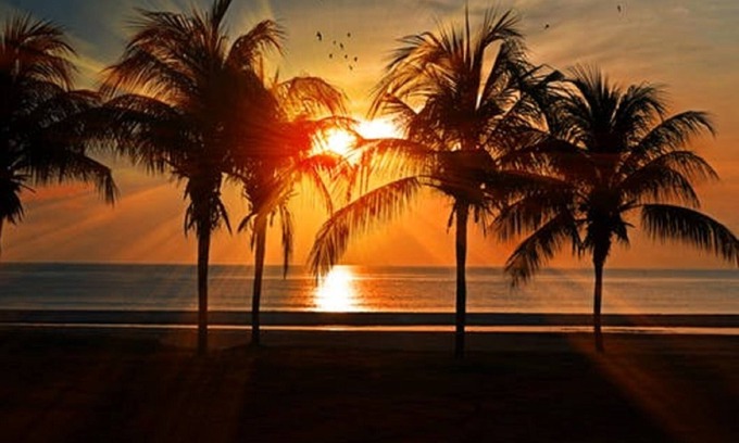 Golden Beach Condo | BEACHFRONT VENICE ISLAND CONDO: OLYMPIC POOL, FREE Wi-Fi,- DISCOUNTED LOW RATES